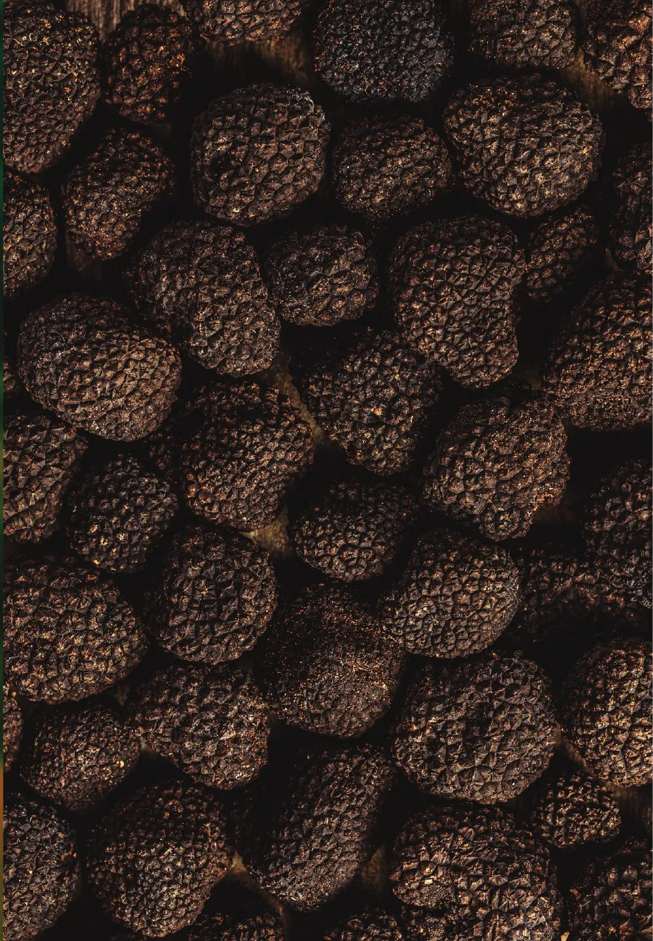 Textura de trufa negra de cerca